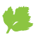 Logo Parsley