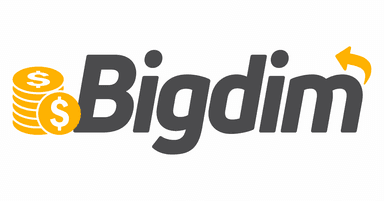 Logo Bigdim